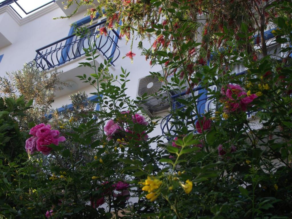 Miramar Pansiyon Kas Exterior foto
